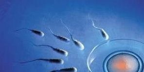 河南：2026年三代试管婴儿医院排名最新汇总老年人三代试管婴儿医院指南