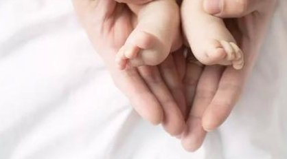 评估试管婴儿胚胎：质量、等级及3胚、6 胚意义全析