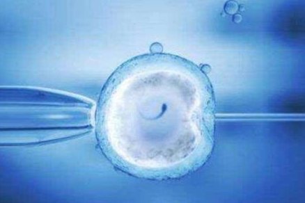 香港试管婴儿医院可以吗？求子家庭必看！